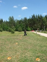 segway_14.jpg