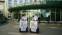 segway_6.jpg